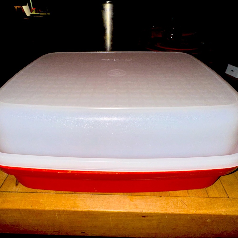 Tupperware 1294-4 Season N Serve Meat Keeper Marinade Container w/ Lid Paprika
